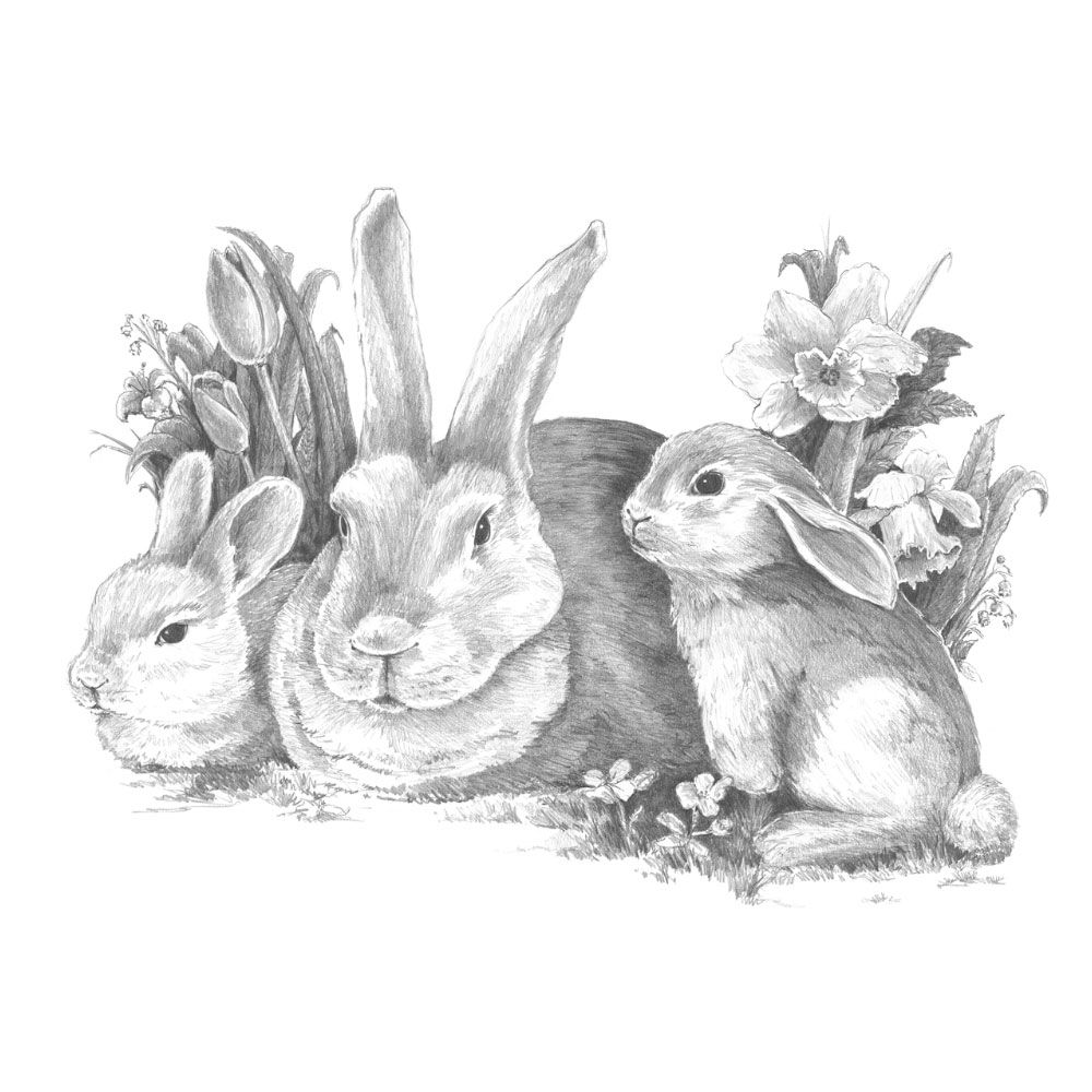 Royal &amp; Langnickel Sketching Made Easy Bunnies