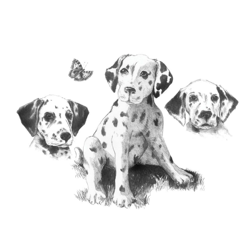 Royal &amp; Langnickel Sketching Made Easy Dalmations
