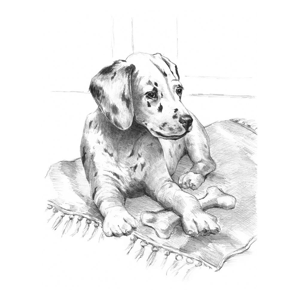 Royal &amp; Langnickel Sketching Made Easy Dalmation Pup