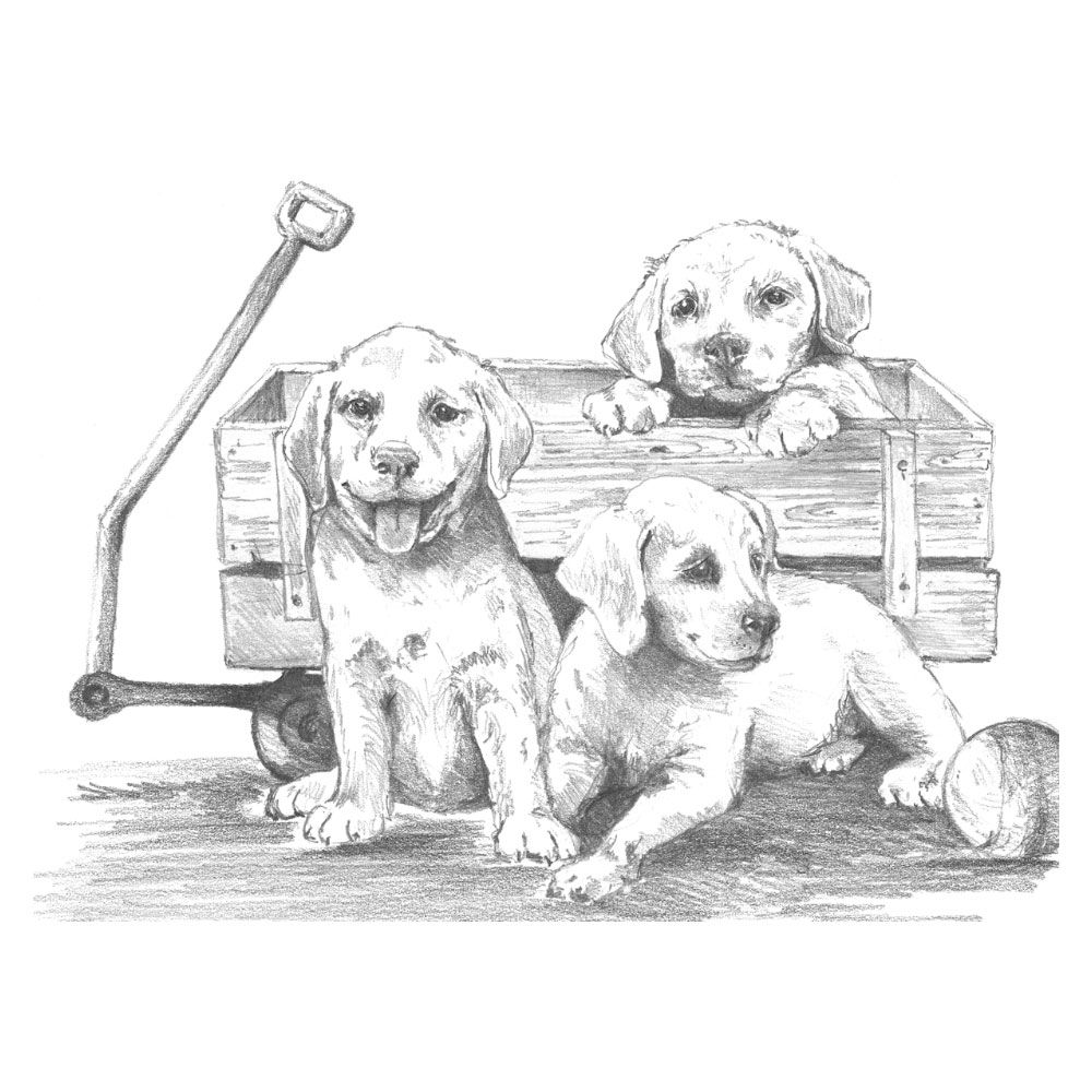 Royal &amp; Langnickel Sketching Made Easy Puppies &amp; Wagon