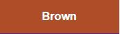 Sakura Pigma Brush Brown **ND**