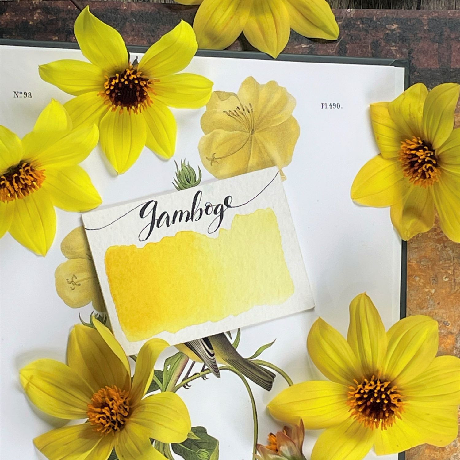 Stoneground Watercolour Half Pan Gamboge S3 **ND**