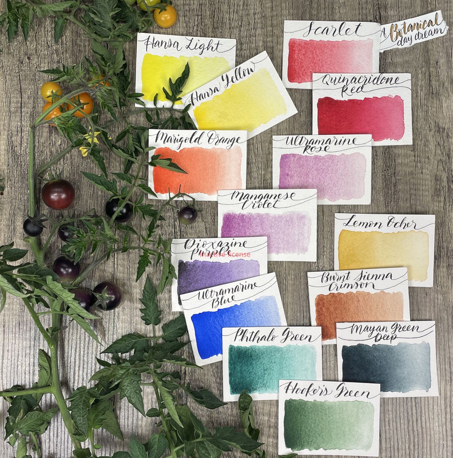 Stoneground Watercolour Palette - 14pc Botanical **ND**