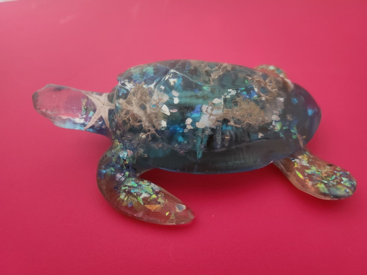 House Turtle Coastal