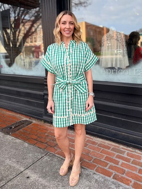 THE DARLING GREEN GINGHAM DRESS