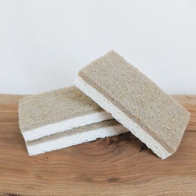 Coconut and Wood Pulp Sponge |