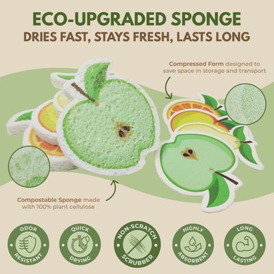 Fruit - 4 Pack Dish Sponges