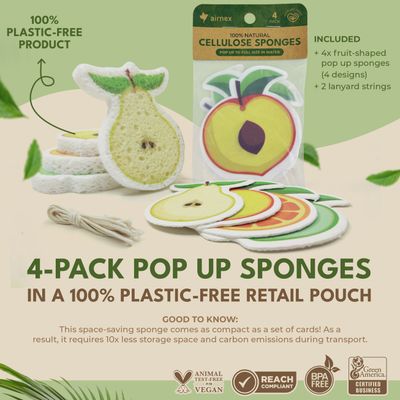 Fruit - 4 Pack Dish Sponges