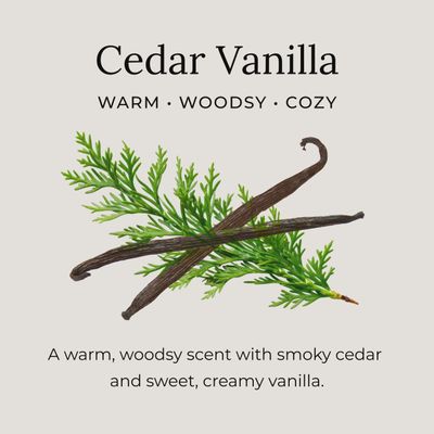 Deodorant Cream Sampler: Cedar Vanilla