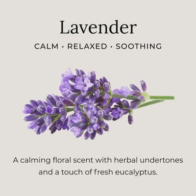 Deodorant Cream Samples: Lavender