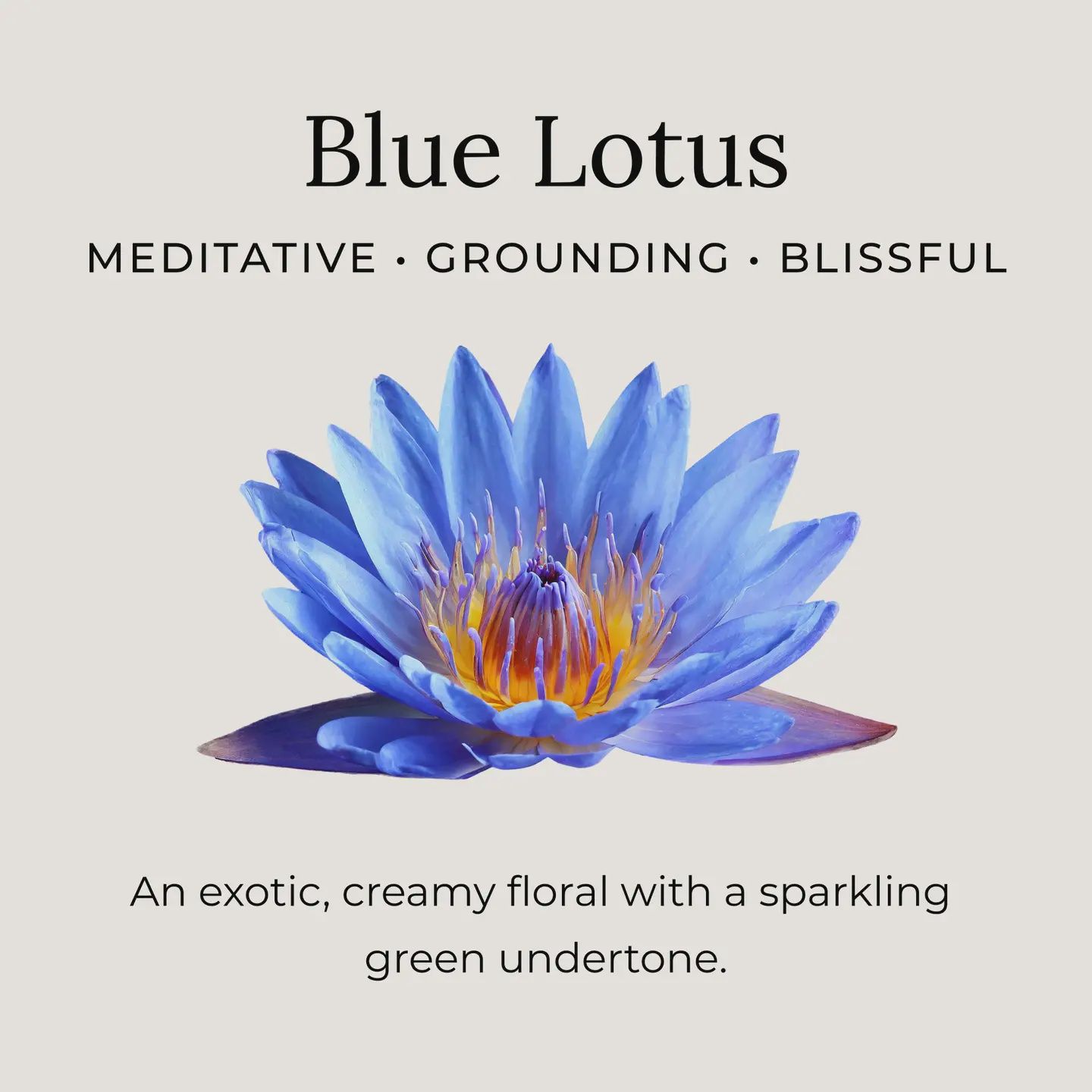 Deodorant Cream Samples: Blue Lotus
