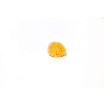 Caribbean Silk Sponges - Cuts: 3-4