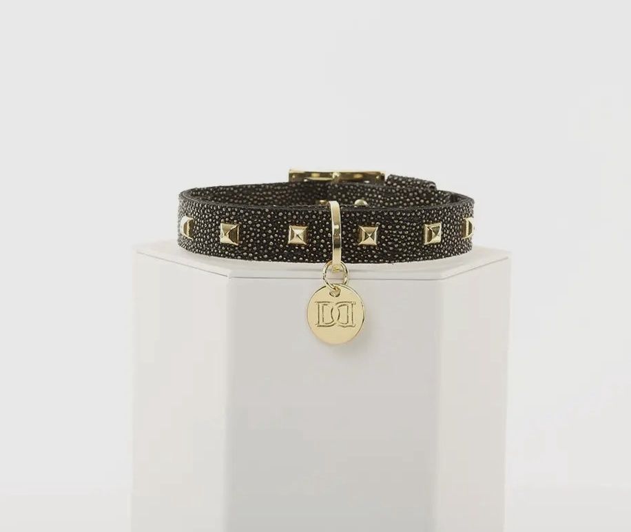 Devious Dogs Collection, Colour: Black, Design: Glitz N Gold Dog Collar, Size: Small