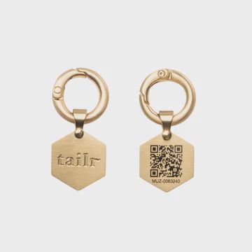 Tailr QR Code Pet Tag, Design: Tailr Classic QR Code Pet ID Tag, Size: Small