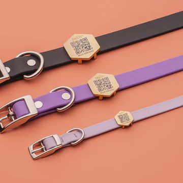 Tailr QR Code Pet Tag