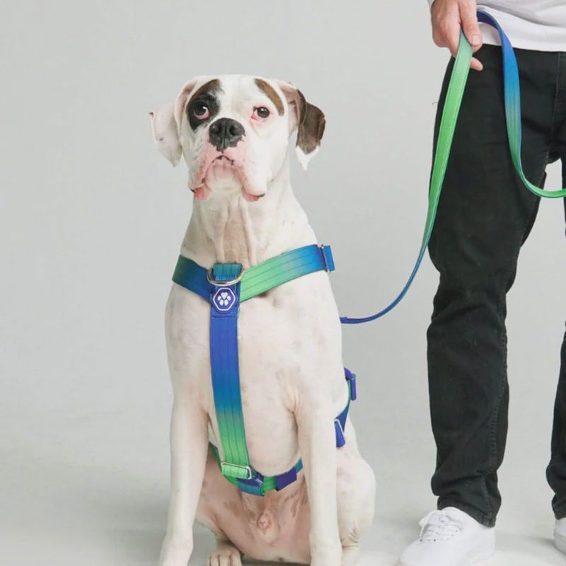 Spark Paws Harness Lime Wave