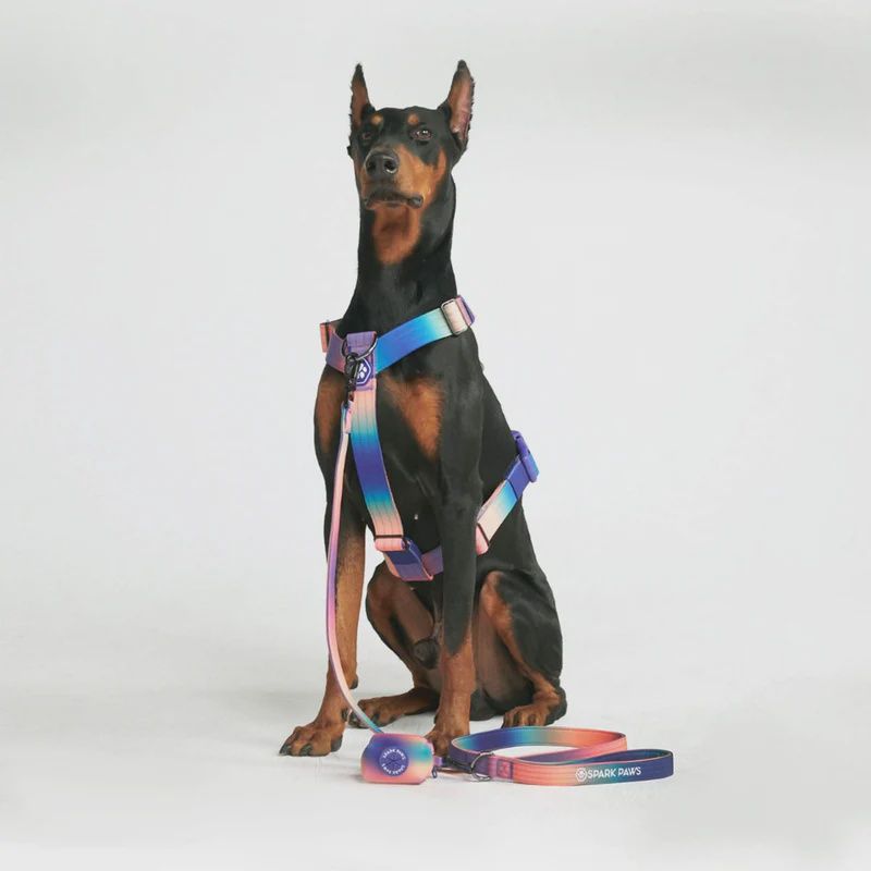 Spark Paws Harness Kaleidoscope
