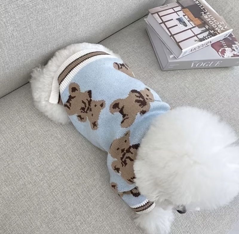 Blue Teddy Bear Sweater