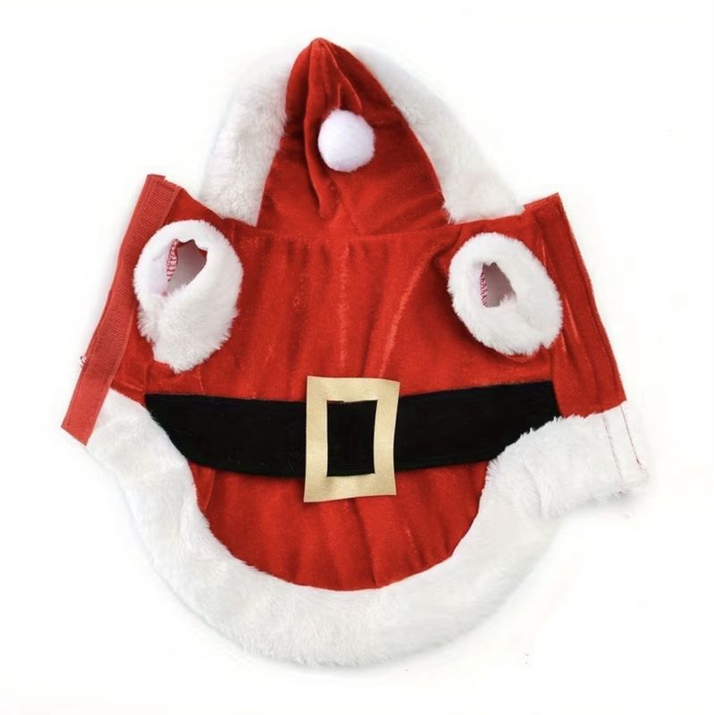 Santa Hoodie