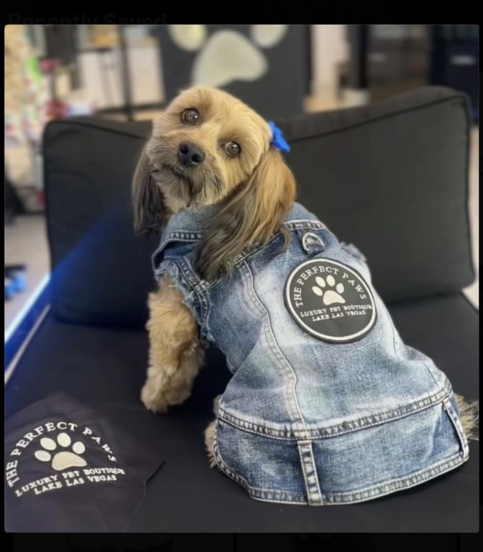 TPP Denim Shirt