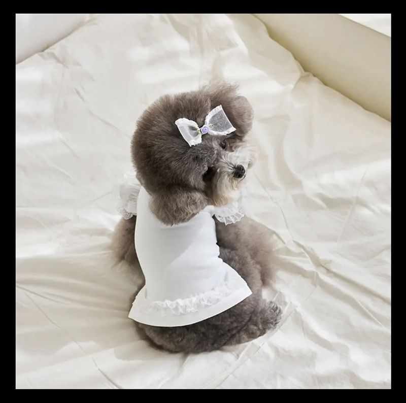 White Dress with Ruffles