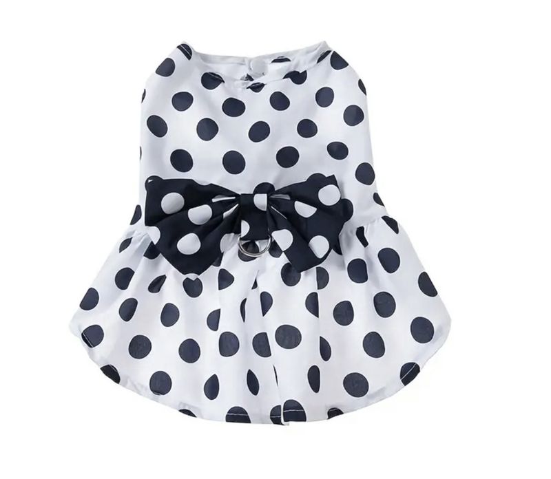 Whits Dress Navy Polka Dots