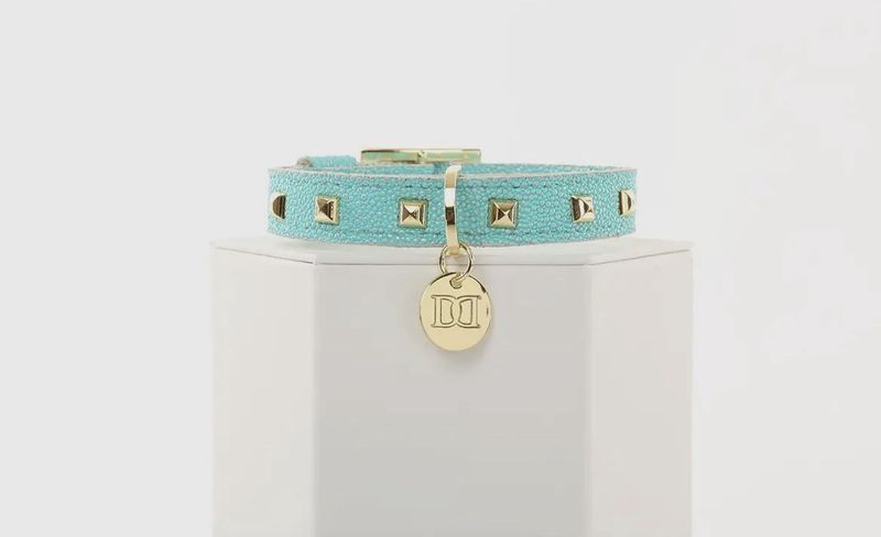 Glitz N Gold Collar - Turquoise