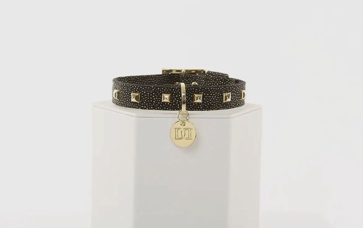 Glitz N Gold Collar - Black, Size: Small
