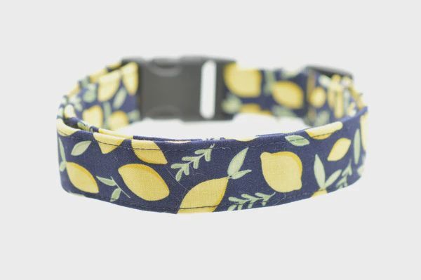 Lemon Print Collar