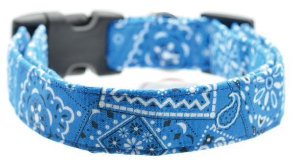Blue Patterned Collar, Size: XS