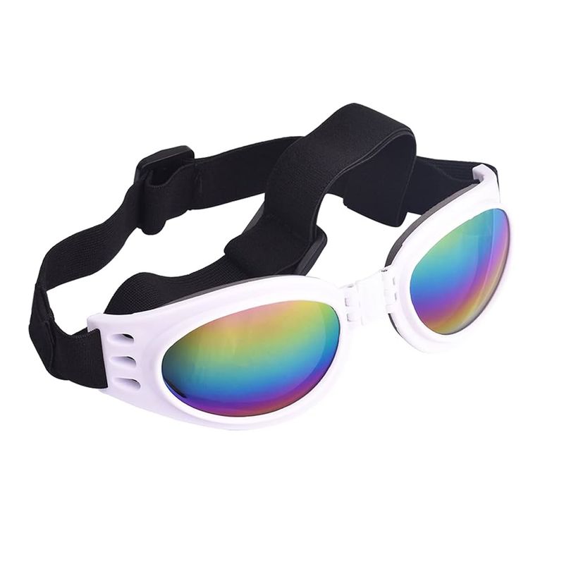 Goggles/Glasses