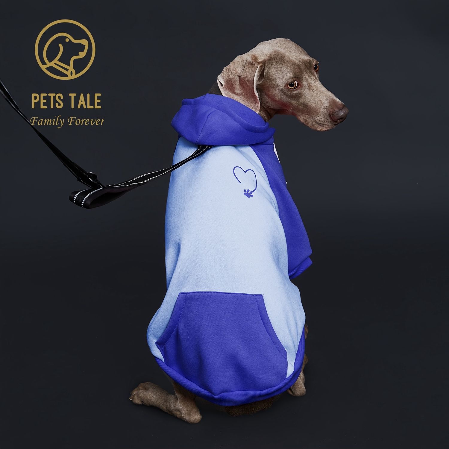 Light Blue Hoodie, Size: XXL