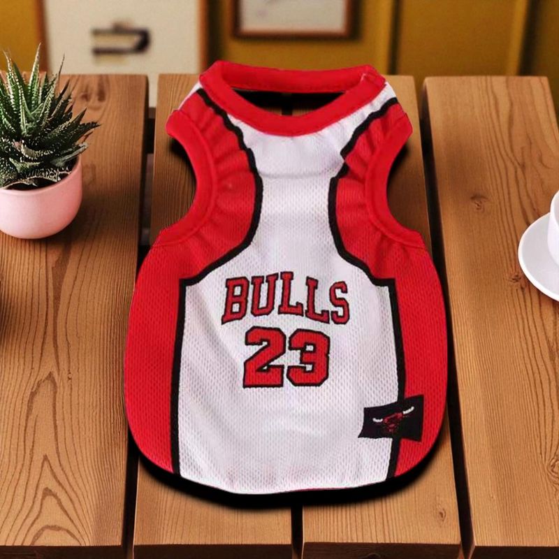 Bulls Jersey