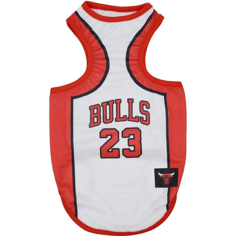 Bulls Jersey