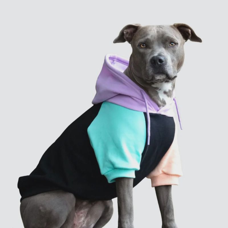 Cyber Punk Pet Hoodie