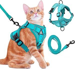 Turquoise Harness