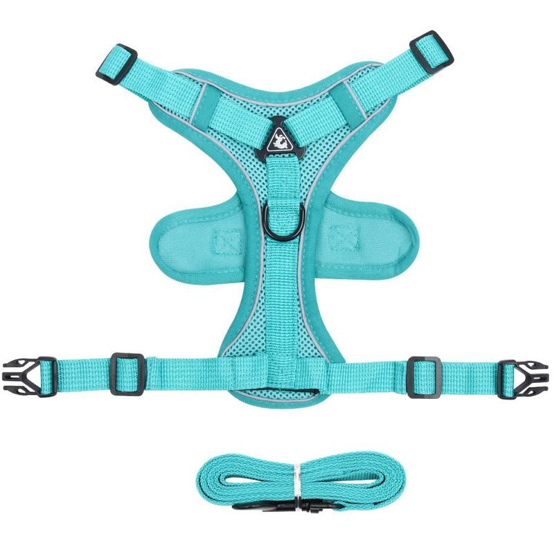 Turquoise Harness