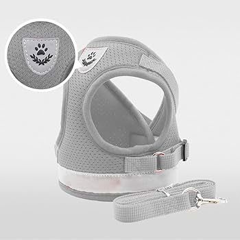Gray Harness