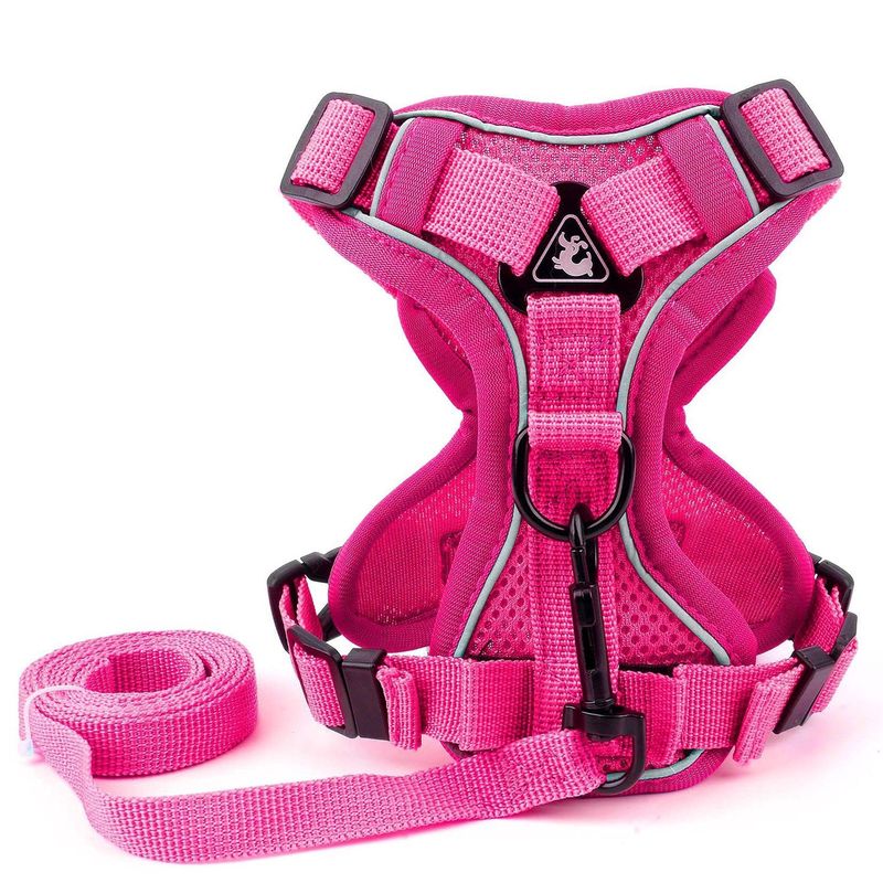 Hot Pink Harness