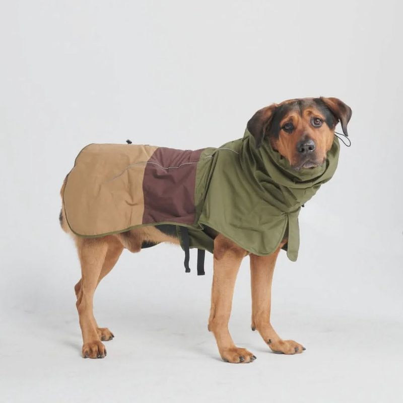 Green Pet Raincoat