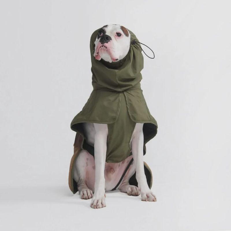 Green Pet Raincoat