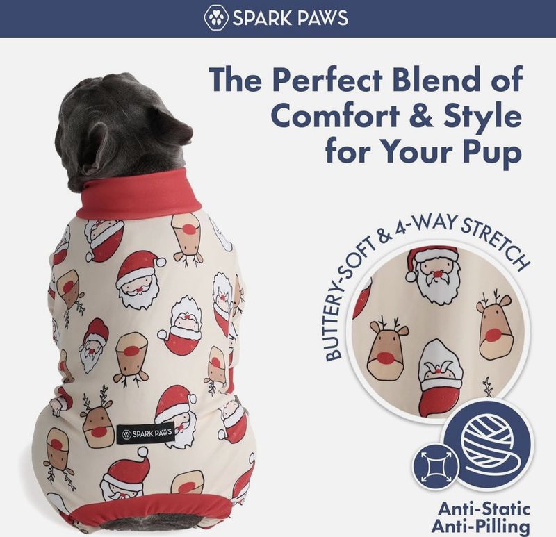 Santa Pet Onesie