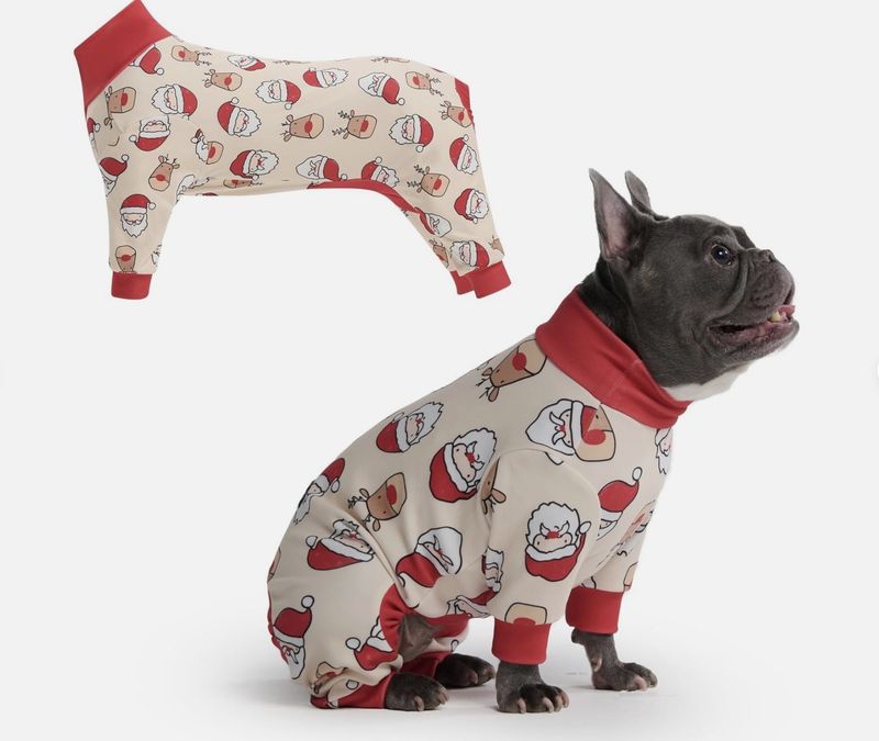 Santa Pet Onesie