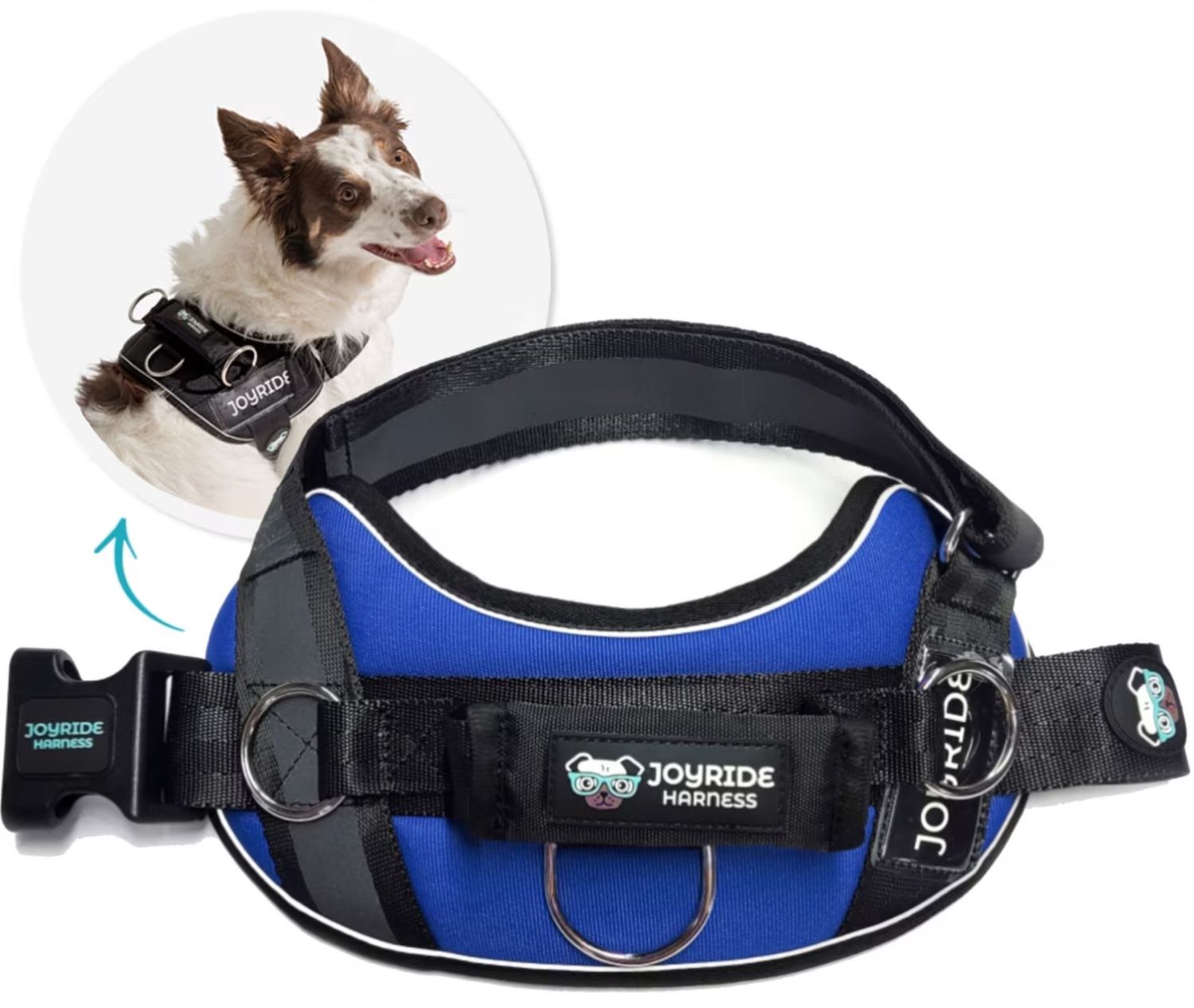 Joyride Harness, Size: Large