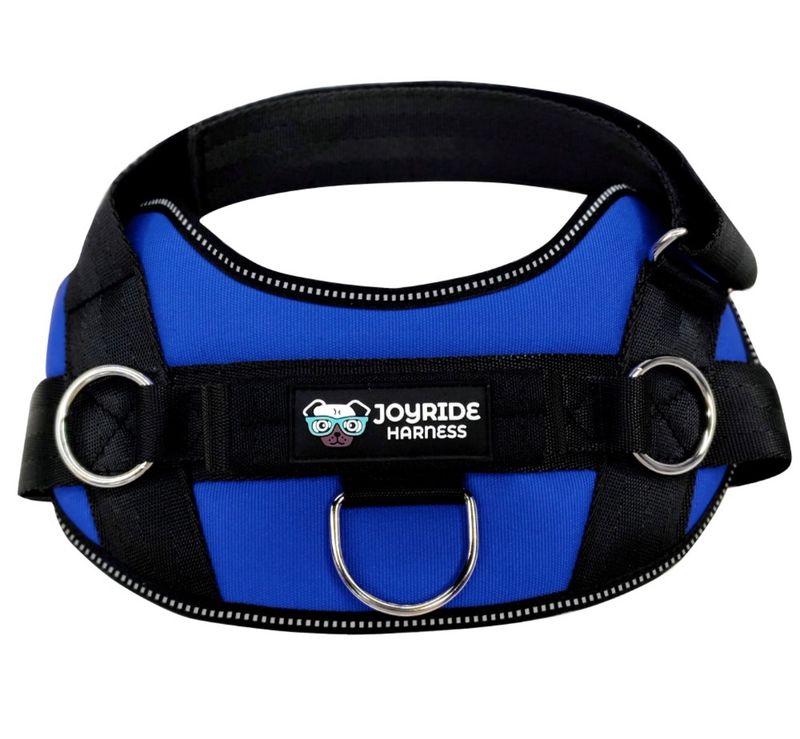 Joyride Harness