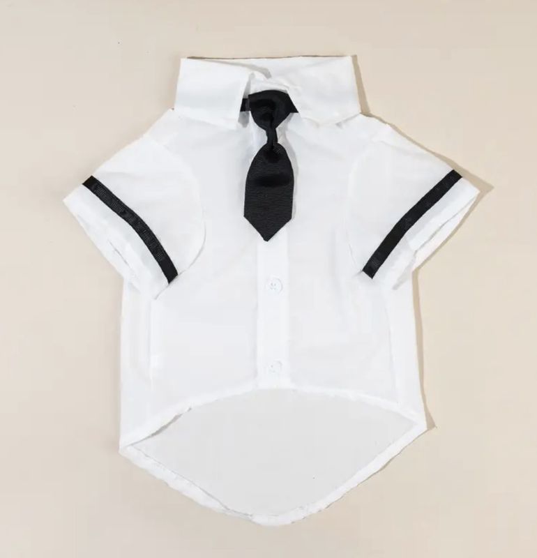 Dress Shirt with Tie