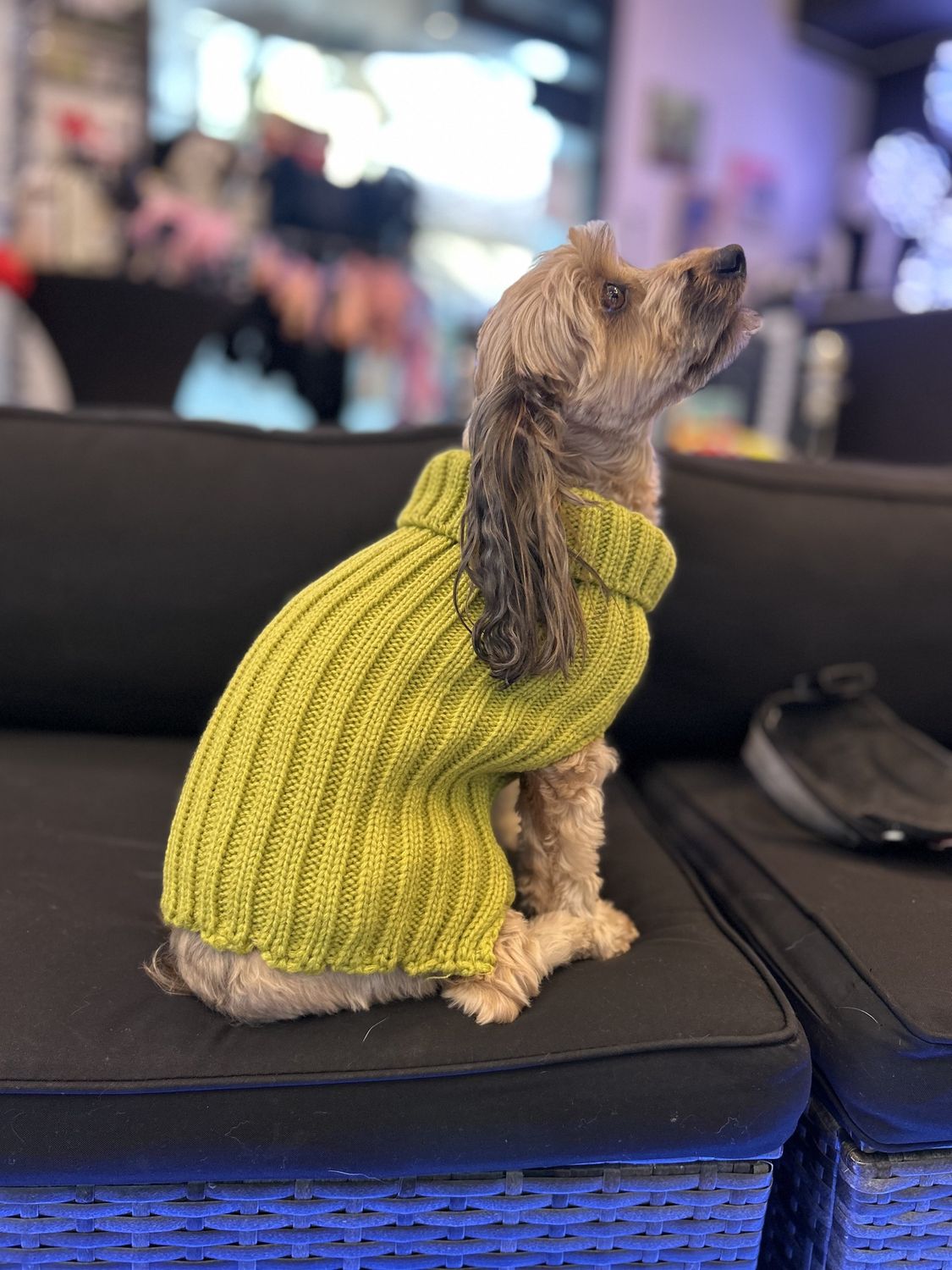 Green Turtleneck Sweater, Size: Large