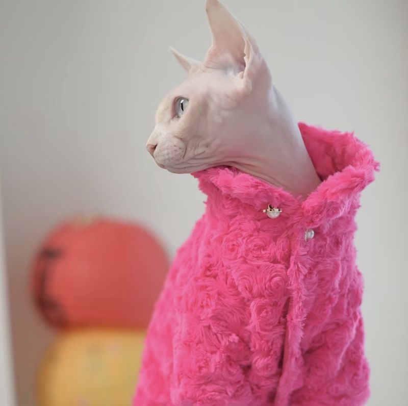 Pink Fluffy Swirl Design Shirt