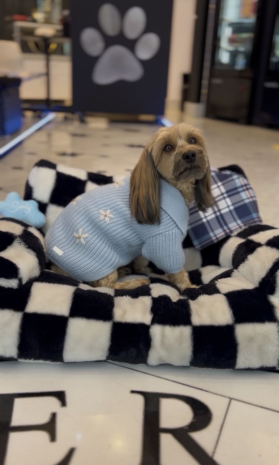 Blue Sweater With Flowers, Size: Medium