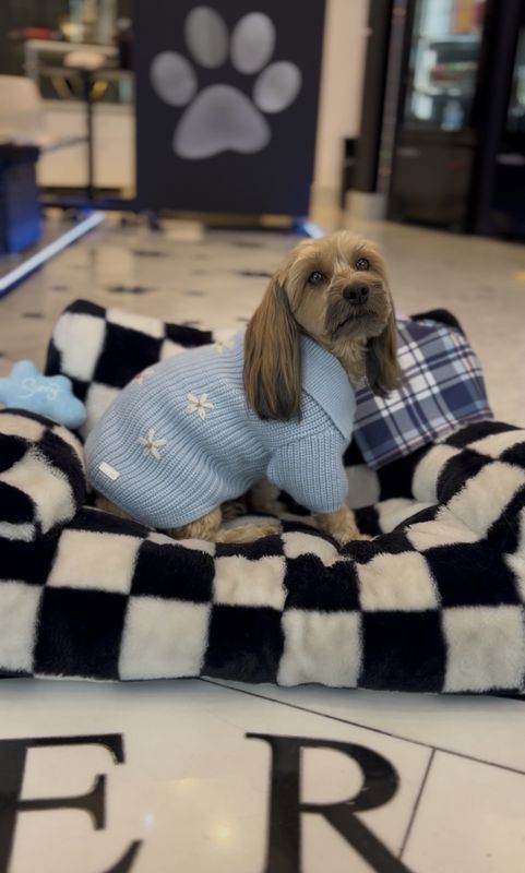 Blue Sweater With Flowers